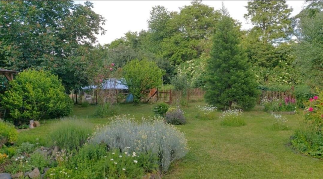 Orangerie Zimmer Gehaichnishof 7Born Maring-Noviand Exterior foto
